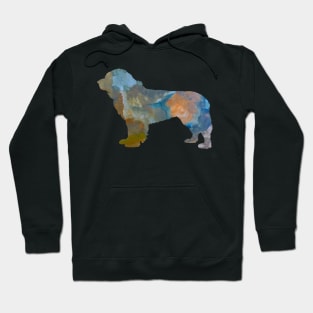 Newfoundland Dog Hoodie